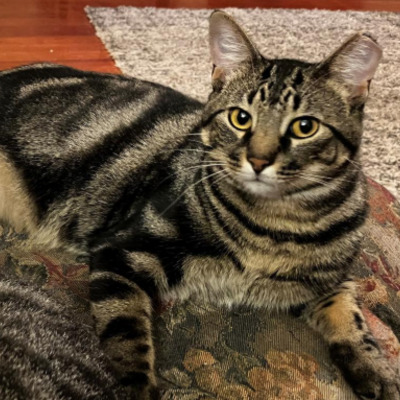Oliver
