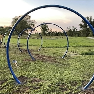 Rings at the Bike Park