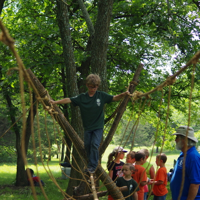 Monkey Bridge