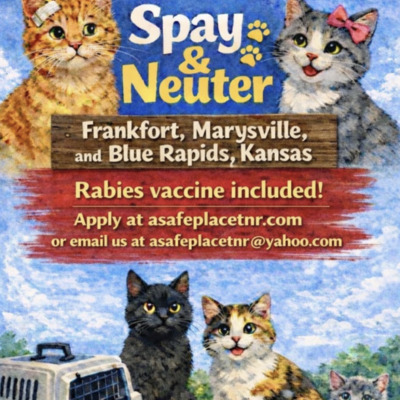 Low-Cost Spay and Neuter