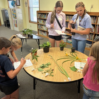 4-H Learning Day - Plant ID Practice