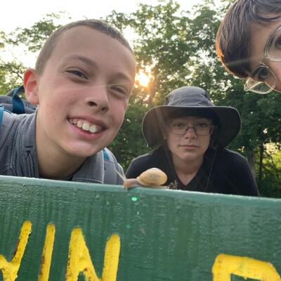 Snail at summer camp